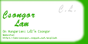 csongor lam business card